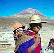 Atacama Desert Native