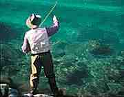 Fisherman