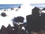 Easter Island Isla De Pascua Moai