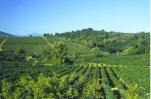 Wine Country