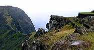 Oronga
