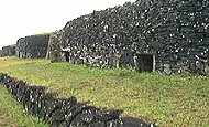 Oronga Easter Island