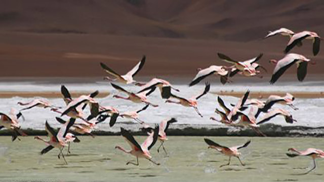 san pedro atacama