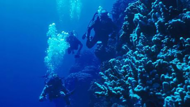 juan fernandez chile