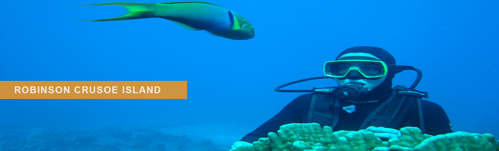 robinson crusoe island