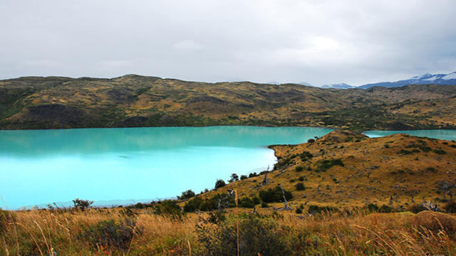 glaciers patagonia