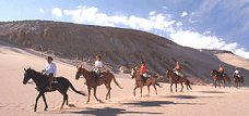 Horse back in Atacama